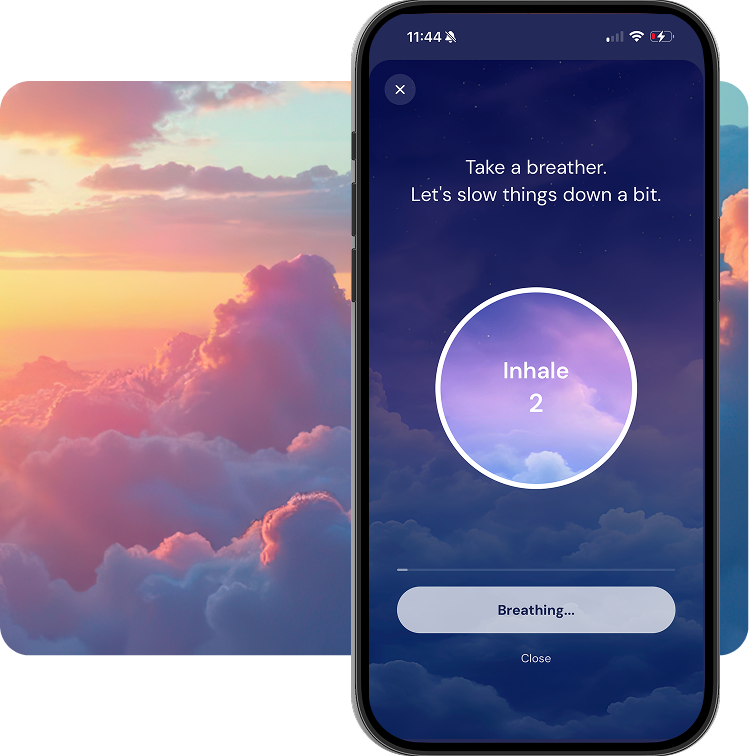 The guided breathing exercise screen